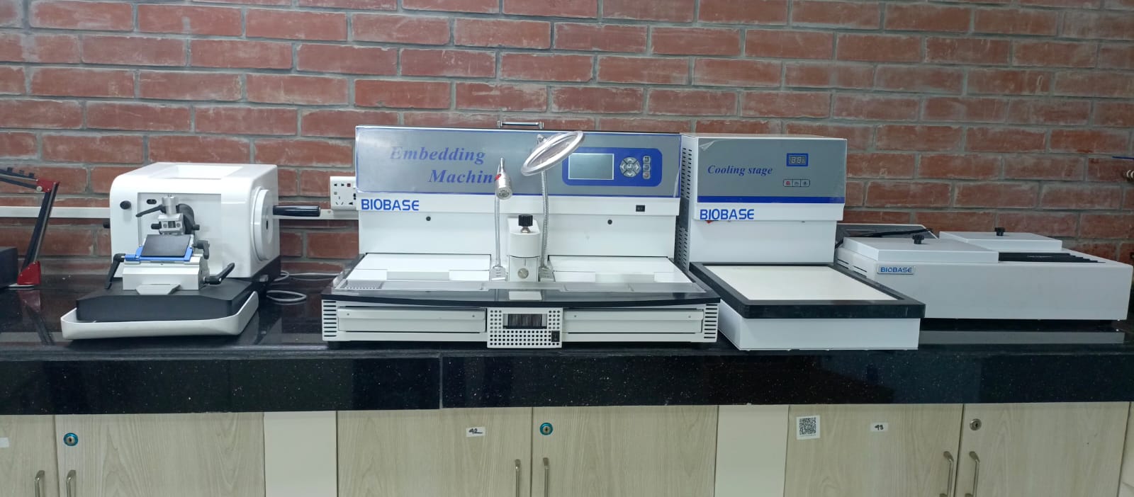 Microtome